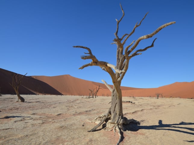 July 2024 : Namibia